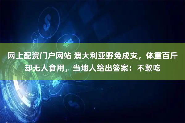 网上配资门户网站 澳大利亚野兔成灾，体重百斤却无人食用，当地人给出答案：不敢吃